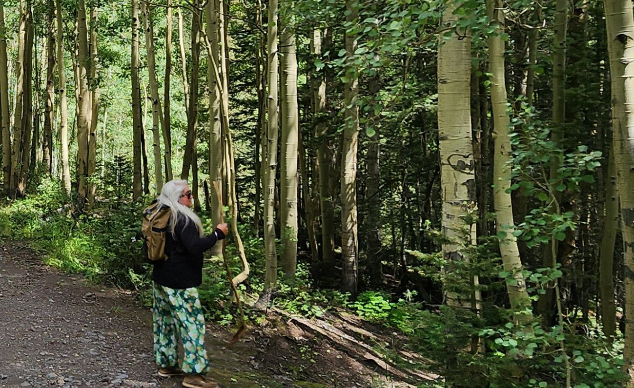 The Enchanted Forest Experience - printable