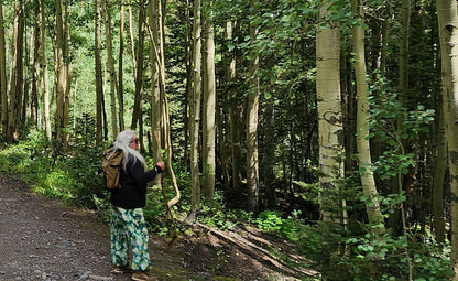The Enchanted Forest Experience - printable