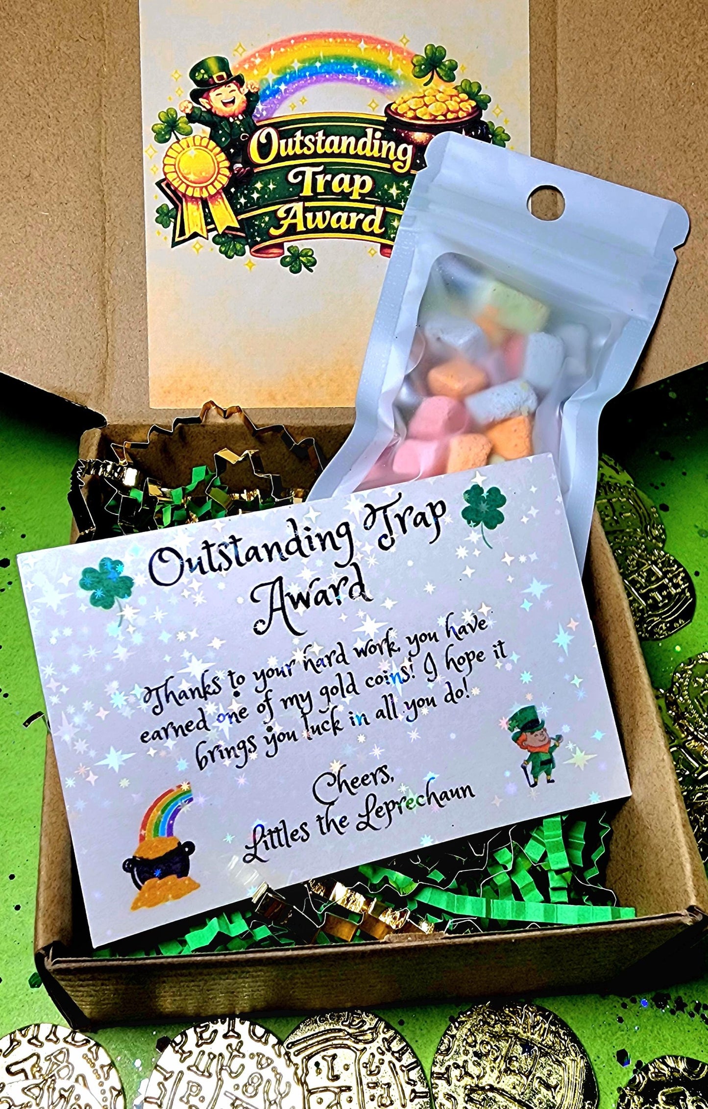 Leprechaun Trap Award Box – Gold Coin, Personalized Letter & St. Patrick’s Day Surprise