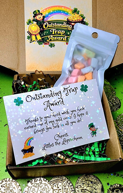 Leprechaun Trap Award Box – Gold Coin, Personalized Letter & St. Patrick’s Day Surprise