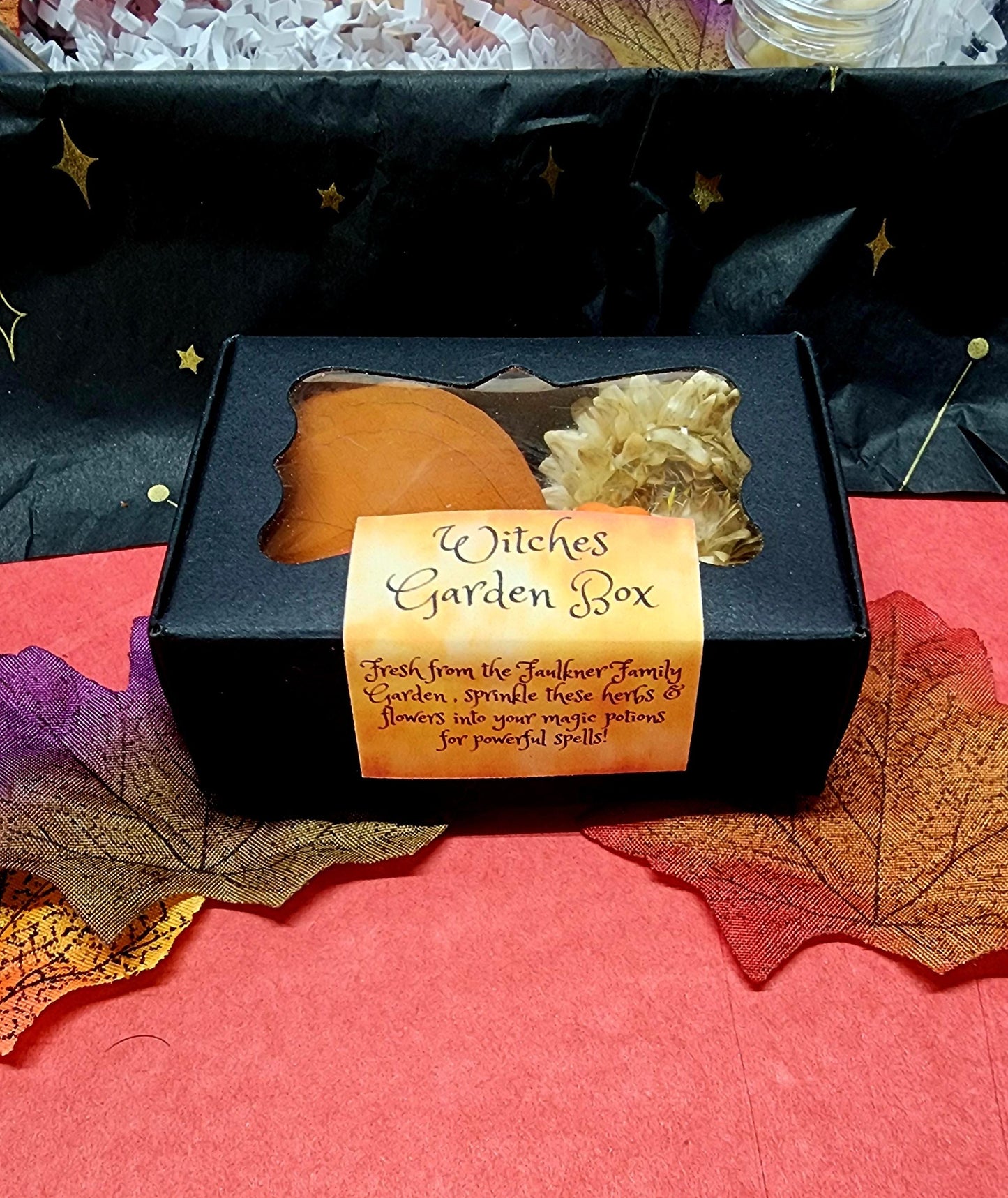 Young Witch Magic Potion Kit – Fizzing Powder, Herbs, Crystal & Charm